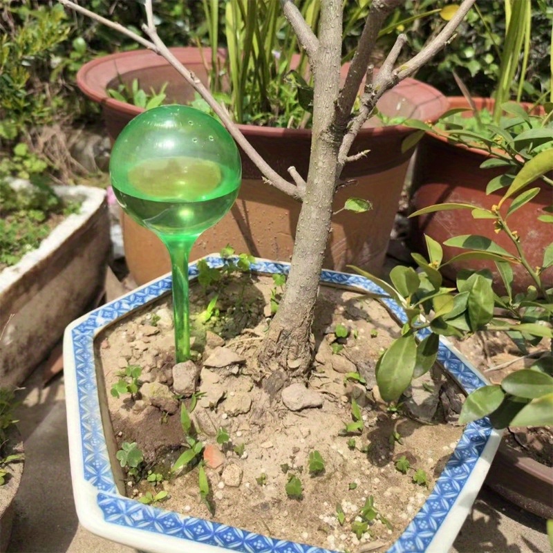 6PCS Indoor Plants Self Wateri - огляд і ціна Smart Garden Technology