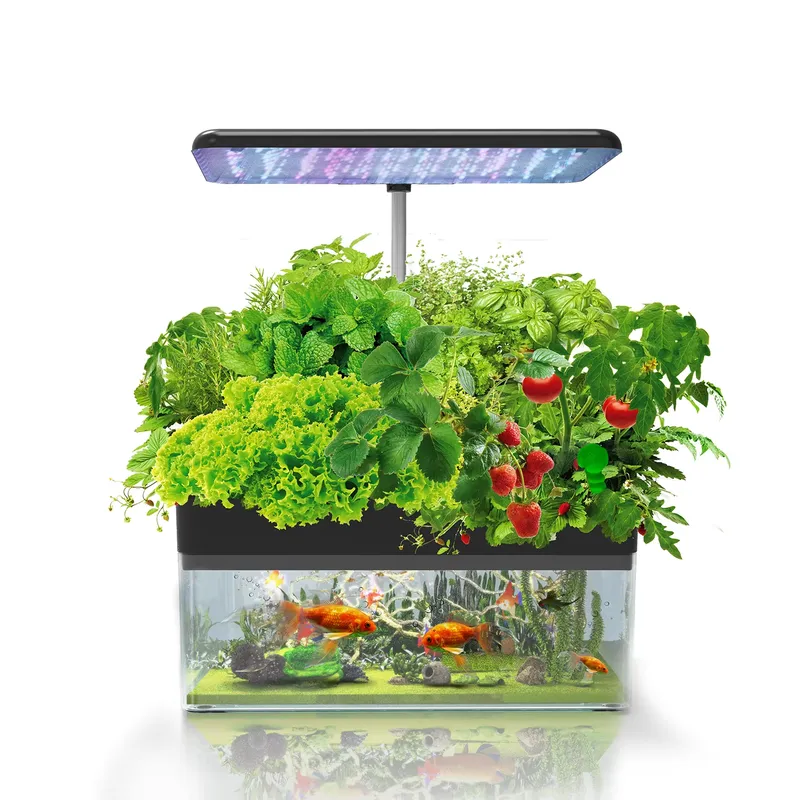 Brand IGS-70 Indoor Hydroponic - огляд і ціна Smart Garden