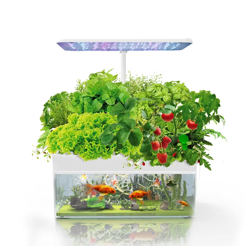 Brand IGS-70 Indoor Hydroponic - огляд і ціна Smart Garden