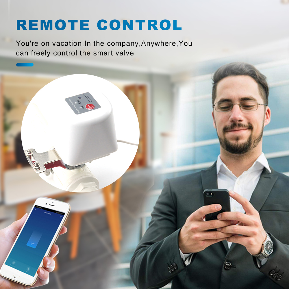 Tuya Smart Wifi Gas Manipulato - огляд і ціна Smart Garden Instructions