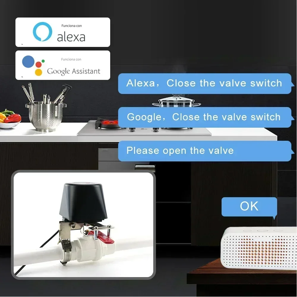 Tuya Zigbee Smart Gas Valve WI - огляд і ціна Smart Garden Instructions
